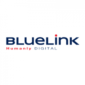 BlueLink