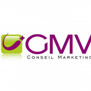 GMV Conseil