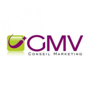 GMV Conseil