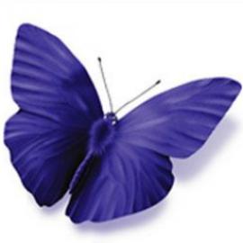 Approach People Recruitment